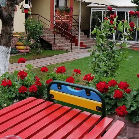 Copou Inn Iasi Luaran gambar