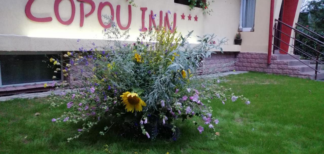 Copou Inn Iasi Luaran gambar