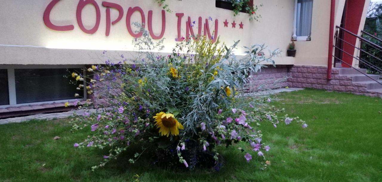 Copou Inn Iasi Luaran gambar